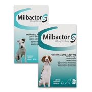Milbactor Dog