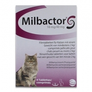 Milbactor Kočka
