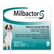 Milbactor Hond Groot | 48 Tabletten