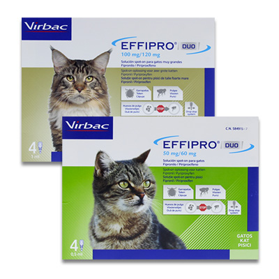 Effipro Duo Spot On Katze