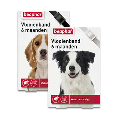 Beaphar Vlooienband (6mnd) Hond | Petcure.nl