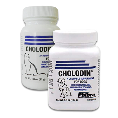 Cholodin (Demenz und Altersbeschwerden) Hund/Katze
