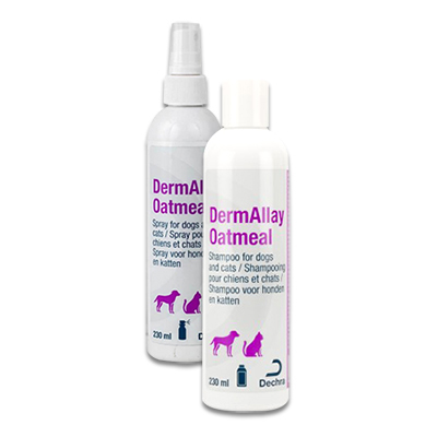 DermAllay Oatmeal Shampoo und Sprayconditioner