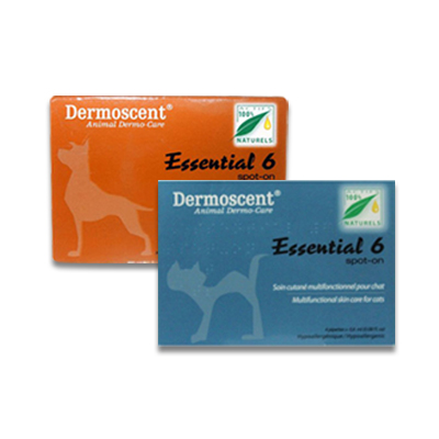Dermoscent Essential 6 Spot-On | Petcure.nl