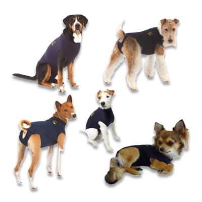 Rejsebureau Børnehave ting Medical Pet Shirt Hund - Schoen ab €17.20 | Petcure.de