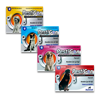Pestigon Spot On Hond | Petcure.nl