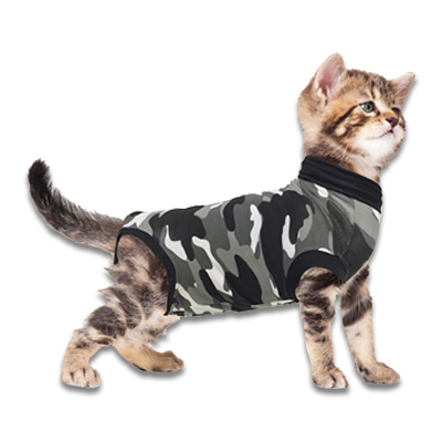 Recovery Suit Katze