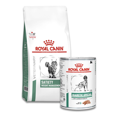 Royal Canin Diabetic Diet Hund (DS 37)