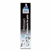 Petosan Toothpaste - Chicken Flavor - 70 Gr | Petcure.nl
