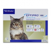 Effipro DUO spot-on Katze ab 6 kg - 4 pipetten