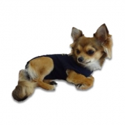 Medical Pet Shirt Hund - Blau XXXXS