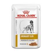 Royal Canin Urinary S/O Moderate Calorie Hond - 12 x 100 g Portie | Petcure.nl