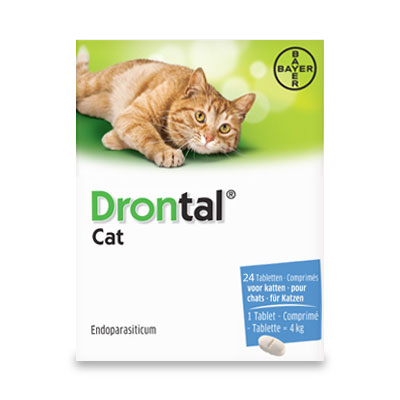 Drontal Kat | 24 tabl