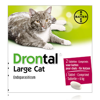Drontal Grote Kat | 2 tabl EU