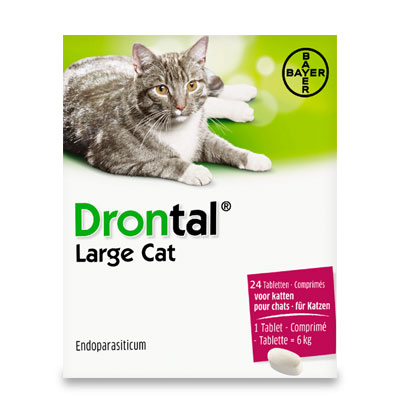 Drontal Katt Stor - 24 Tabletter