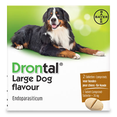Drontal Grote Hond Flavour | 2 tabl EU